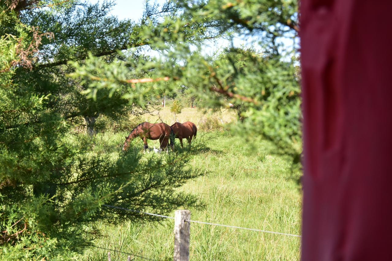 Cabanas La Sonada Chajari Bagian luar foto